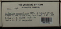 Image Associated With the Occurence